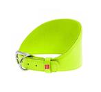 WAUDOG Glamour Halsband Windhond Groen Nek 26-32 cm KOOPJE!, Ophalen of Verzenden, Handgemaakt, Nieuw