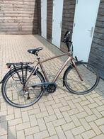 Fijne Gazelle Chamonix T24, Ophalen, Zo goed als nieuw, Gazelle, Versnellingen