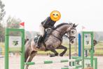 Kwpn merrie 2014. ‼️spoed! In prijs verlaagd‼️, Dieren en Toebehoren, Paarden, Merrie, Springpaard, Gechipt, L