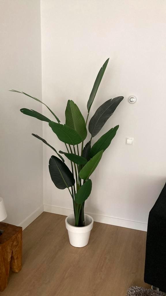 Kunstplant Strelitzia Nicolai XL 1,90 m. zéér mooi!, Huis en Inrichting, Woonaccessoires | Kunstplanten en Kunstbloemen, Zo goed als nieuw