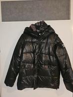Burberry Winterjas Puffer Zwart Maat L, Kleding | Heren, Jassen | Zomer, Maat 52/54 (L), Zwart, Ophalen of Verzenden, Zo goed als nieuw