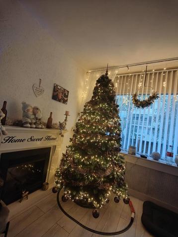 Kerstboom  beschikbaar voor biedingen