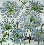 Servetten decoupage/bullet journal– Bloemen Agapanthus L1913, Verzenden, Nieuw, Materiaal