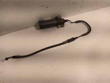 Diversen Audi RS 6 beschikbaar voor biedingen