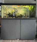 Eheim aquarium Vivaline Led 240 compleet, Dieren en Toebehoren, Vissen | Aquaria en Toebehoren, Ophalen, Zo goed als nieuw, Leeg aquarium