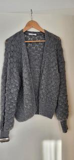 Aŉge  trui maat 38, Kleding | Dames, Ophalen of Verzenden, Zo goed als nieuw, Maat 38/40 (M)