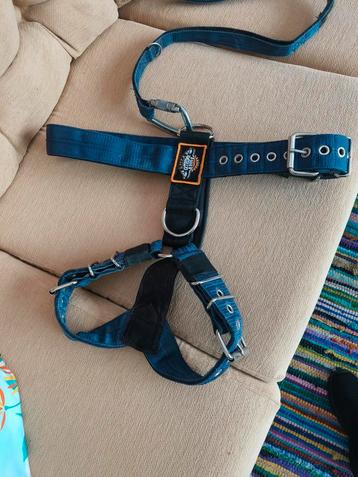 Extreme doggear honden tuig maat XL beschikbaar voor biedingen