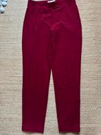 Studio Anneloes broek M, Ophalen of Verzenden, Zo goed als nieuw, Rood