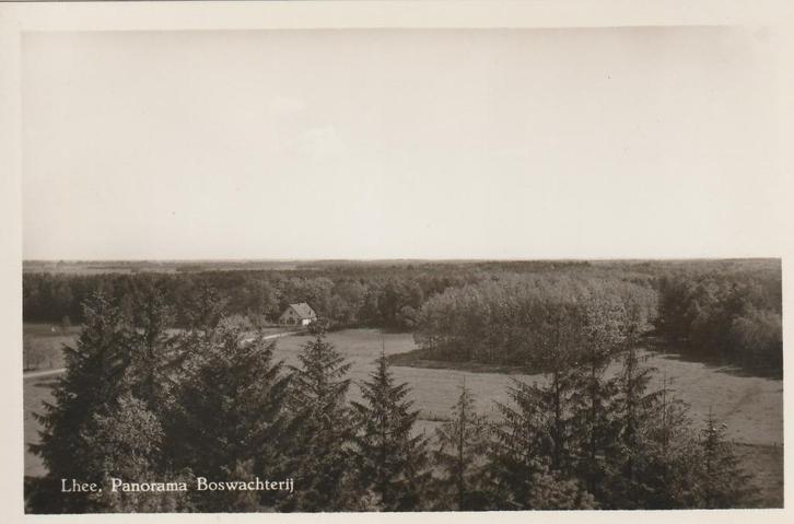 LHEE Panorama Boswachterij, Verzamelen, Ansichtkaarten | Nederland, Ongelopen, Drenthe, 1940 tot 1960, Verzenden
