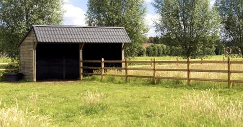 Gezocht!, Dieren en Toebehoren, Stalling en Weidegang, Stalling, Weidegang