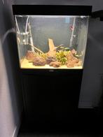 Aqualantis Volga 125 compleet, Dieren en Toebehoren, Vissen | Aquaria en Toebehoren, Ophalen, Zo goed als nieuw, Gevuld zoetwateraquarium
