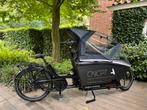 Urban Arrow Family Performance Line Disc 500Wh, Gebruikt, 2 kinderen, Elektrisch, Ophalen