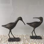 Watervogels - Watersnip en meer waterdieren