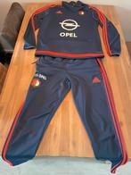 Feyenoord trainingspak (L) 2015/2016, Maat L, Ophalen of Verzenden, Gebruikt, Trainingspak