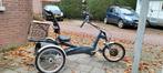Van Raam driewiel fiets, Ophalen of Verzenden, Gebruikt, Van Raam