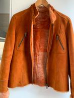 Suedeleer oranje jas met nep bond, Kleding | Dames, Ophalen of Verzenden, Zo goed als nieuw, Maat 38/40 (M), Oranje