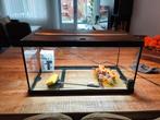 Eheim 60x30x30 aquarium, Ophalen, Gebruikt, Leeg aquarium