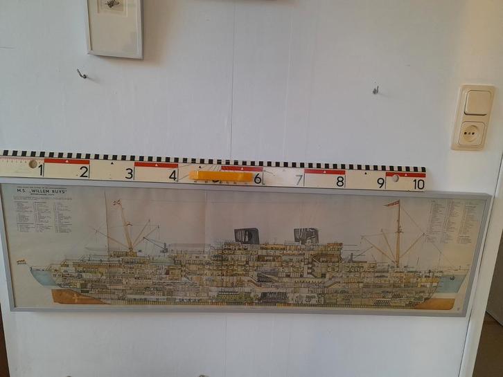 Ms.Willem Ruys Koninklijke Lloyd, Verzamelen, Scheepvaart, Zo goed als nieuw, Kaart, Foto of Prent, Ophalen of Verzenden