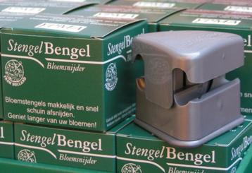 Nieuwe Stengelbengel(s) Stengel Bengel beschikbaar voor biedingen