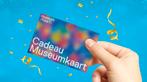 Nieuwe Museumkaart, Eén persoon, Ticket of Toegangskaart