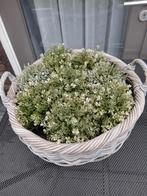 Grote rieten mand, Minder dan 30 cm, Minder dan 60 cm, Rond, Ophalen of Verzenden