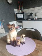Siamese katten, Ophalen of Verzenden, Zo goed als nieuw, Dier