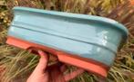 Bonsai schaal Turquoise geglazuurd Koreaans 31,3x23,1x9,7, Nieuw, Ophalen of Verzenden, Minder dan 25 cm, Aardewerk