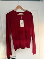 Fabienne Chapot Pullover, Maat 46/48 (XL) of groter, Nieuw, Ophalen of Verzenden, Fabienne Chapot