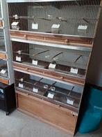 Kweekkooi vogels, Ophalen of Verzenden, Hout, Broedkooi of Kweekkooi