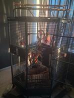 Vogelkooi, Ophalen of Verzenden, Zo goed als nieuw, Metaal, Vogelkooi