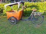 Gekeurde Babboe Curve-e bakfiets, 4 kinderen of meer, Gebruikt, Elektrisch, Ophalen