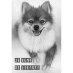 Je bent de liefste - kaart bij Stichting Superwens!, Ophalen of Verzenden, Nieuw