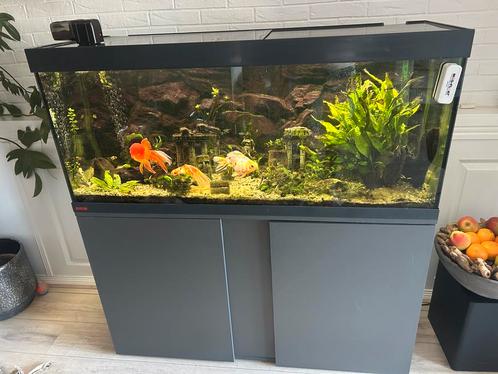 Eheim Aquarium 240 liter Vissen, Dieren en Toebehoren, Vissen | Aquaria en Toebehoren, Zo goed als nieuw, Gevuld zoetwateraquarium