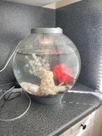 Biorb Classic 30 liter kompleet, Ophalen of Verzenden, Zo goed als nieuw, Leeg aquarium