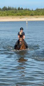 Lieve 11 jarige merrie, Dieren en Toebehoren, Paarden, Merrie, 165 tot 170 cm, Recreatiepaard, 11 jaar of ouder