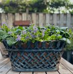 Oude gietijzeren bloembak sober sleets landelijk Brocante, Ophalen