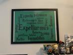 Harry Potter Spreuken Print, Ophalen, Zo goed als nieuw, Print, Minder dan 50 cm