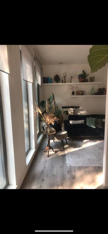 Vloerkleed Karwei 160x230