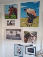 Diverse paardenschilderijen, Huis en Inrichting, Woonaccessoires | Schilderijen, Tekeningen en Foto's, Foto of Poster, Zo goed als nieuw