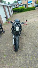 Yamaha Mt 03, Particulier, Naked bike