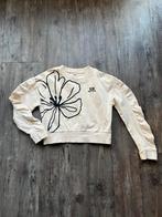 Leuke crème kleurige trui 140-146, Kinderen en Baby's, Kinderkleding | Maat 140, Ophalen of Verzenden, Zo goed als nieuw, Meisje