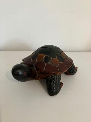 Turtle wood schildpad beschikbaar voor biedingen