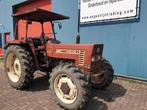 Fiat 60-66 DT, Zakelijke goederen, Agrarisch | Tractoren, Tot 80 Pk, Gebruikt, 7500 tot 10000, Fiat