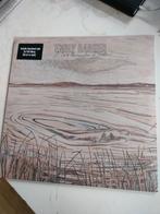 Indie folk EMILY BARKER : A DARK MURMURATION sealed, Ophalen of Verzenden, Nieuw in verpakking, 12 inch, Singer-songwriter