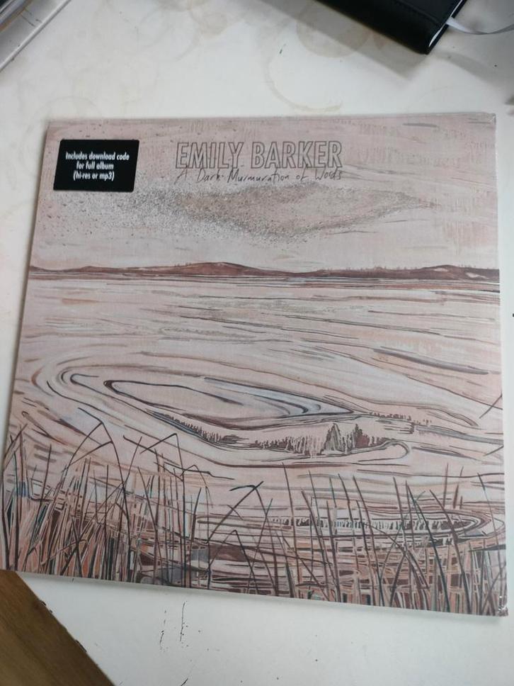 Indie folk EMILY BARKER : A DARK MURMURATION sealed, Cd's en Dvd's, Vinyl | Rock, Nieuw in verpakking, Singer-songwriter, 12 inch