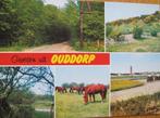 Groeten uit Ouddorp - Zuid Holland - nieuw, Ophalen of Verzenden, 1980 tot heden, Ongelopen, Zuid-Holland