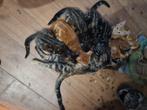 Halve bengaalse kittens, Dieren en Toebehoren, Katten en Kittens | Raskatten | Korthaar, Meerdere dieren, Ontwormd, 0 tot 2 jaar