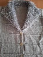 Gebreid vest, lichtgrijs met fleece-kraag, maat 38, Kleding | Dames, Zelf gebreid, Ophalen of Verzenden, Nieuw