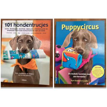 101 Hondentrucjes / Puppycircus - Kyra Sundance beschikbaar voor biedingen