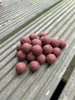 Fruity scopex fish 15mm boilies met toebehoren, Watersport en Boten, Ophalen of Verzenden, Nieuw, Overige typen